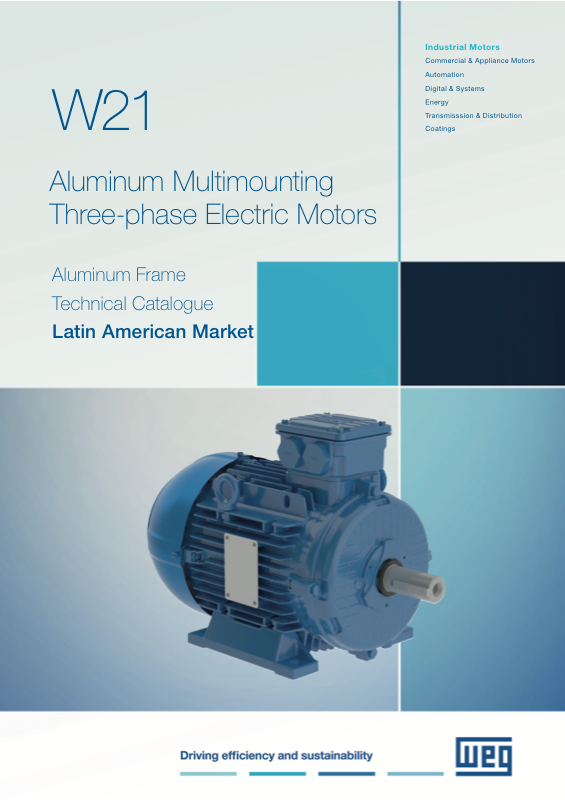 W21 Multimounting Motor